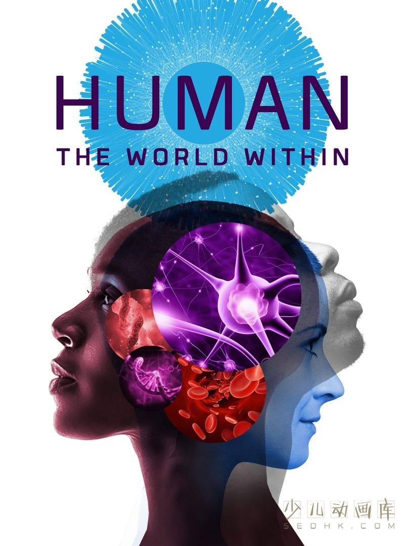 《人类：体内的世界 Human: The World Within 2021》全6集